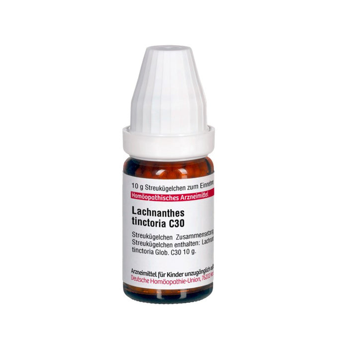 Lachnanthes tinctoria C30 DHU Globuli, 10 g Globules