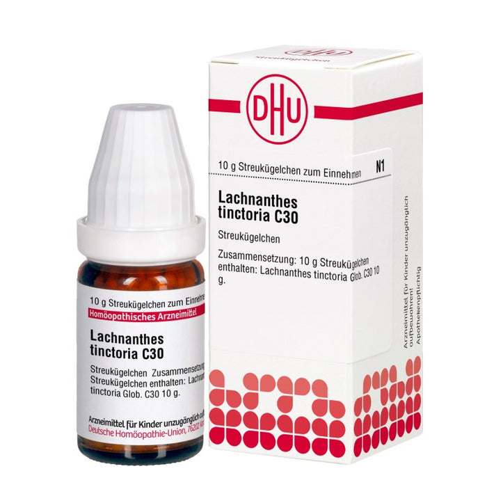 Lachnanthes tinctoria C30 DHU Globuli, 10 g Globules