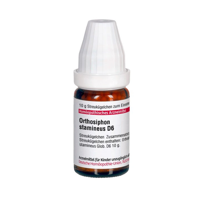 Orthosiphon stamineus D6 DHU Globuli, 10 g Globules