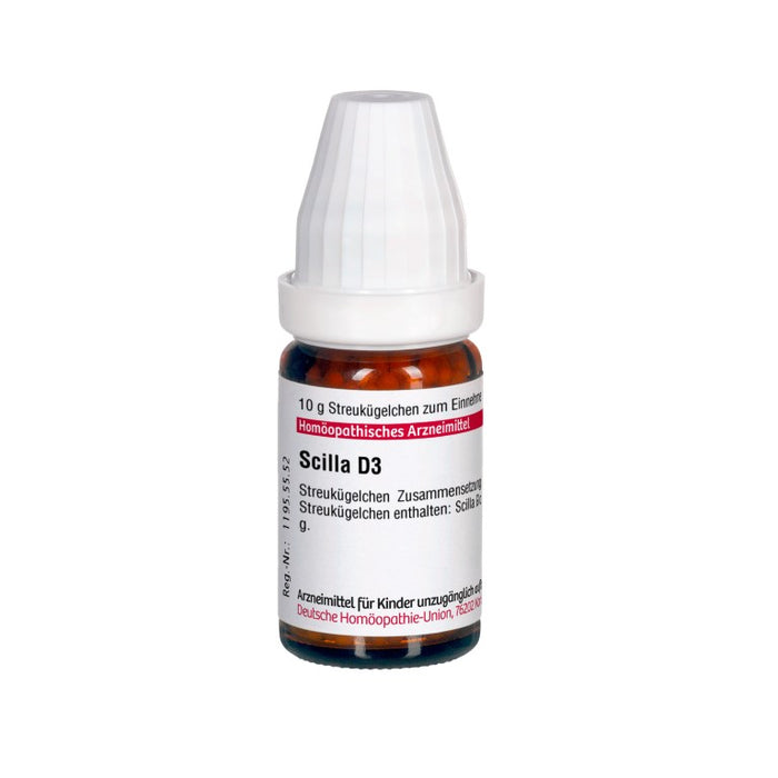 Scilla D3 DHU Globuli, 10 g Globules