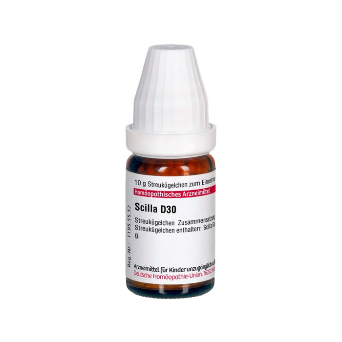 Scilla D30 DHU Globuli, 10 g Globules