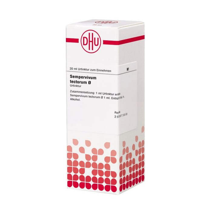 Sempervivum tectorum Urtinktur DHU, 20 ml Solution