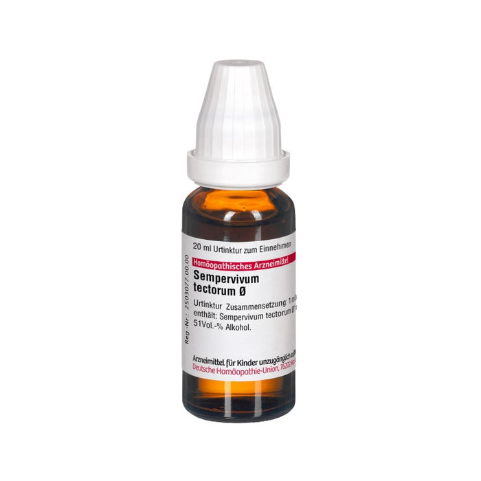 Sempervivum tectorum Urtinktur DHU, 20 ml Solution