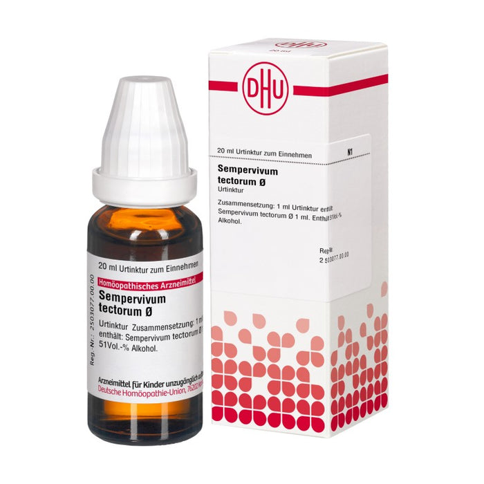 Sempervivum tectorum Urtinktur DHU, 20 ml Solution