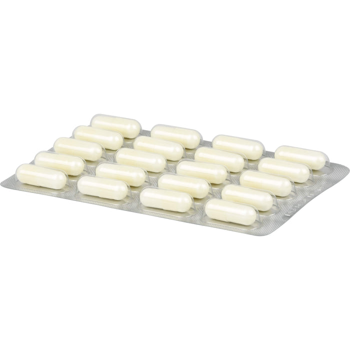 Gesund leben Zink 15 mg + Selen mit Histidin Kapseln, 60 pc Capsules