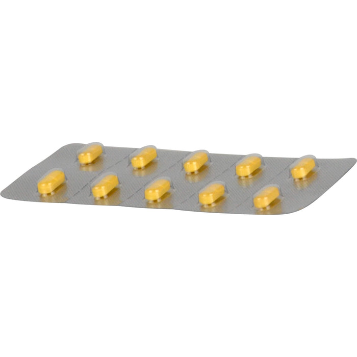 KARSIVAN 100 mg Filmtabletten für Hunde, 60.0 St. Tabletten
