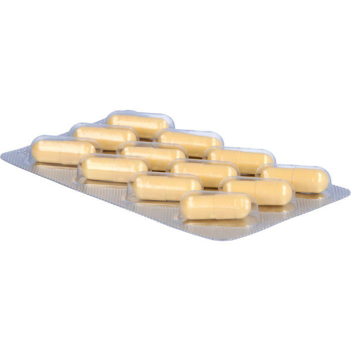 Pollstimol Hartkapseln bei Prostata-Erkrankungen, 60 pcs. Capsules