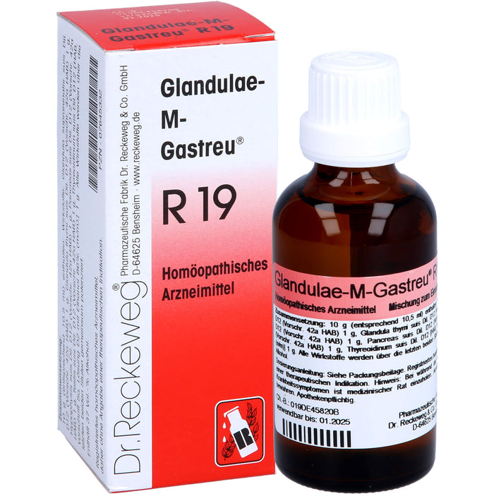 Glandulae-M-Gastreu R19 Tropfen, 50 ml MIS