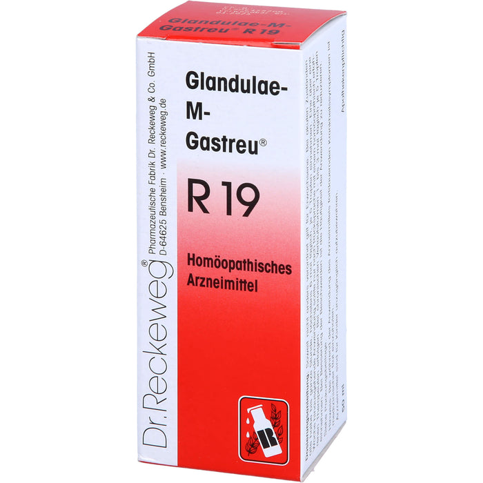Glandulae-M-Gastreu R19 Tropfen, 50 ml MIS