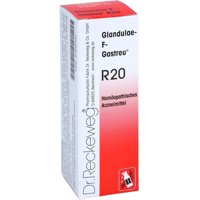 Dr. Reckeweg Glandulae-F-Gastreu R20 Mischung, 22 ml Lösung