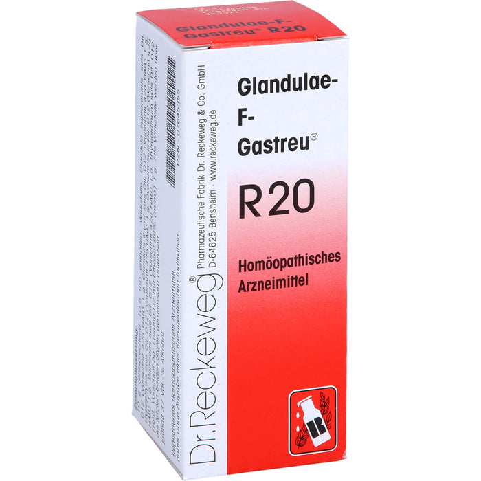 Dr. RECKEWEG & CO Glandulae-F-Gastreu R20 Mischung, 50 ml Solution