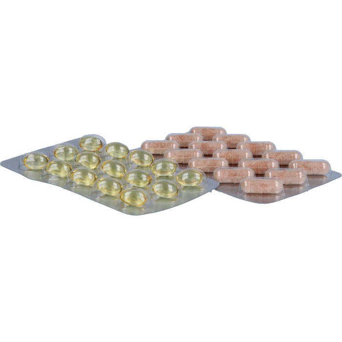 Amitamin Arthro 360 Kapseln für gesunde Gelenke Bänder und Knochen, 120 pcs. Capsules