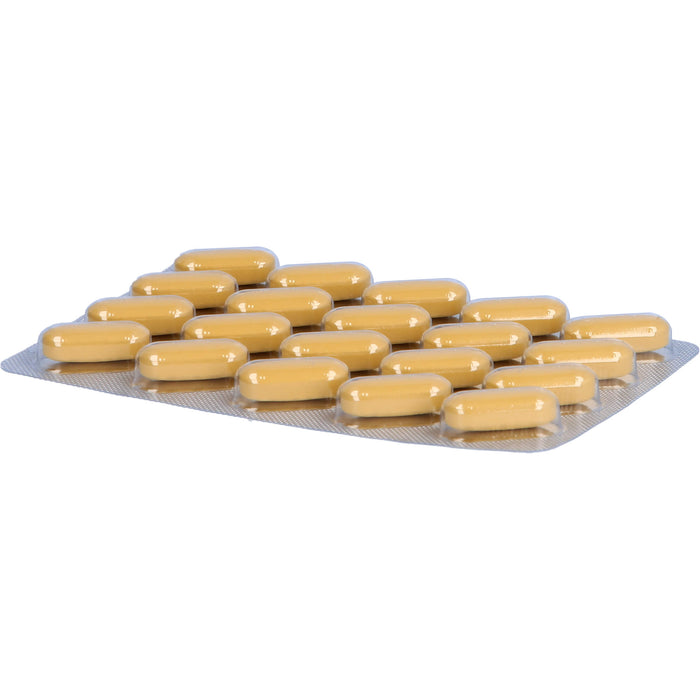 Neuroplant  AKTIV, 100 pc Tablettes