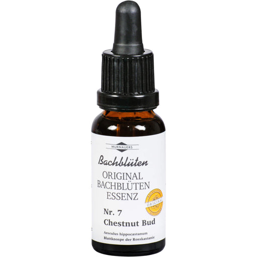 Bachblüten Murnauer Chestnut Bud Tropfen, 20 ml TRO