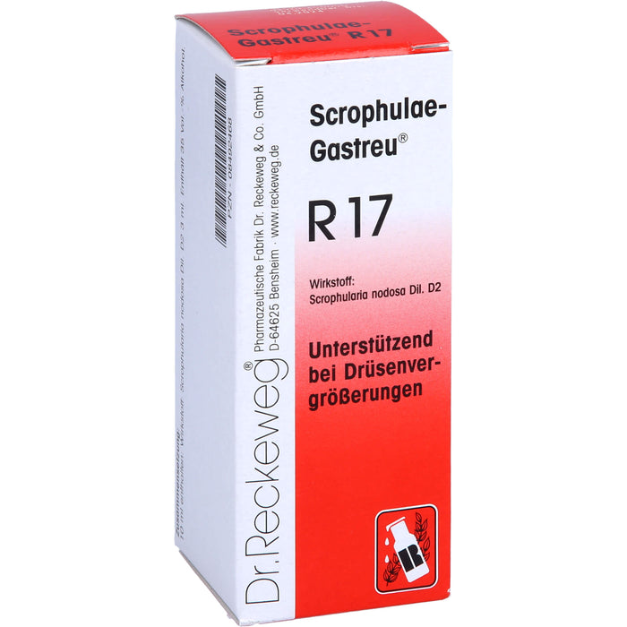 Dr. Reckeweg Scrophulae-Gastreu R17 Tropfen unterstützend bei Drüsenvergrößerungen, 50 ml Solution