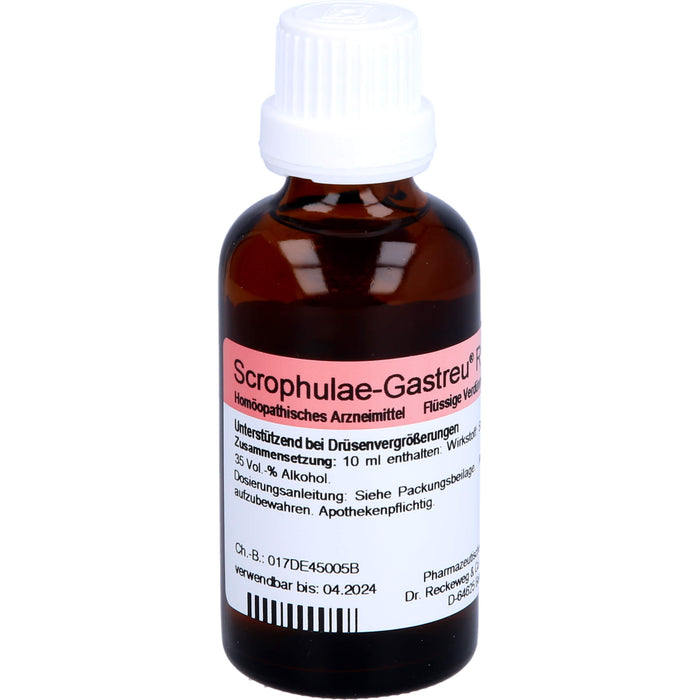 Dr. Reckeweg Scrophulae-Gastreu R17 Tropfen unterstützend bei Drüsenvergrößerungen, 50 ml Solution
