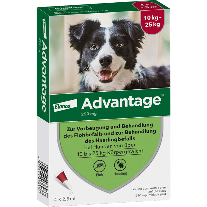Advantage 250 mg Lösung zum Auftropfen bei Hunden, 4 pc Ampoules