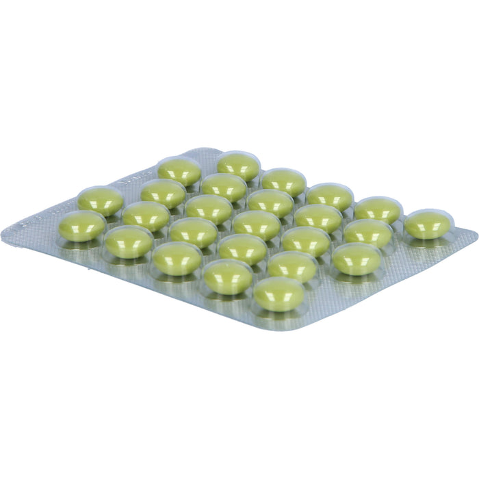 Sinupret forte Tabletten bei Entzündungen der Nasennebenhöhlen, 100 pc Tablettes