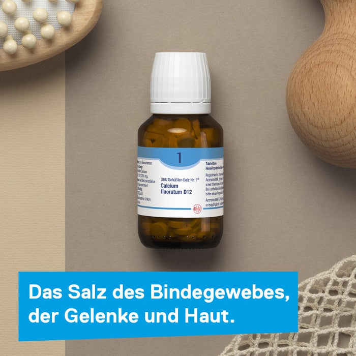 DHU Schüßler-Salz Nr. 1 Calcium fluoratum D12, 420 pcs. Tablets