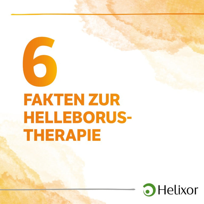 Helleborus niger aquos. D3, 50 pc Ampoules