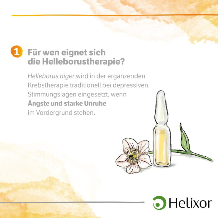 Helleborus niger aquos. D6, 50 pc Ampoules