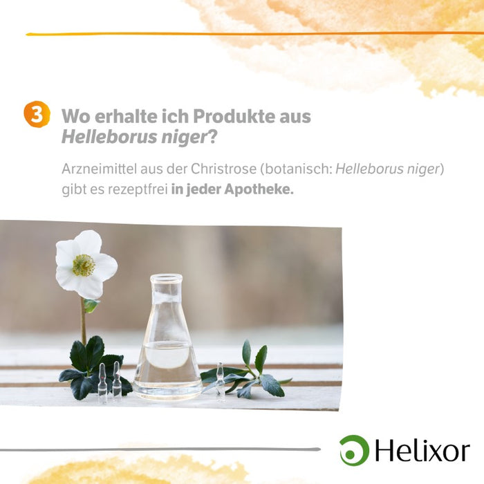 Helleborus niger aquos. D20, 50 pc Ampoules