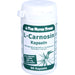 The Nutri Store L-Carnosin 500 mg Kapseln, 60 St. Kapseln