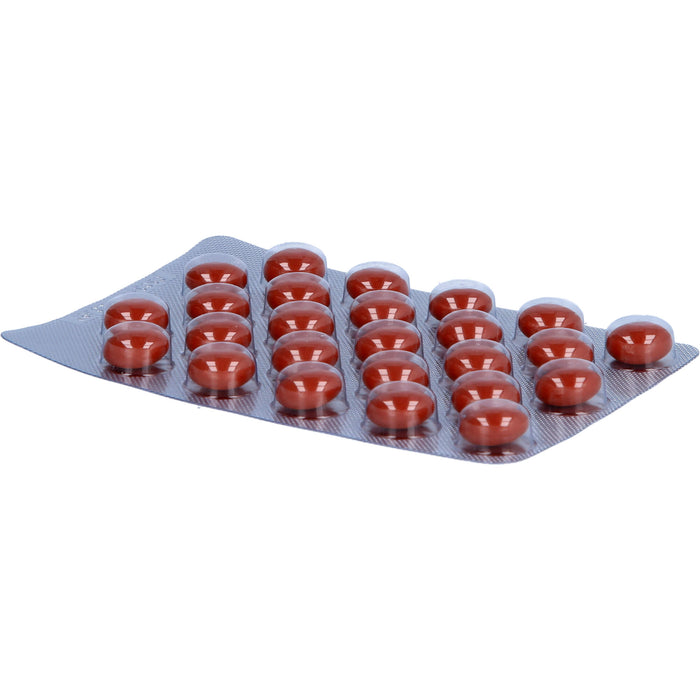 Enzym-Wied forte Dragees, 25 pc Tablettes