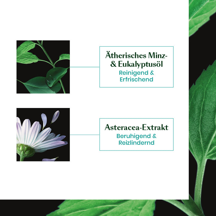 René Furterer ASTERA FRESH Beruhigend-frisches Serum, 75 ml Solution