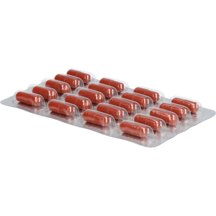 Neuro-Wied N, 120 St KAP