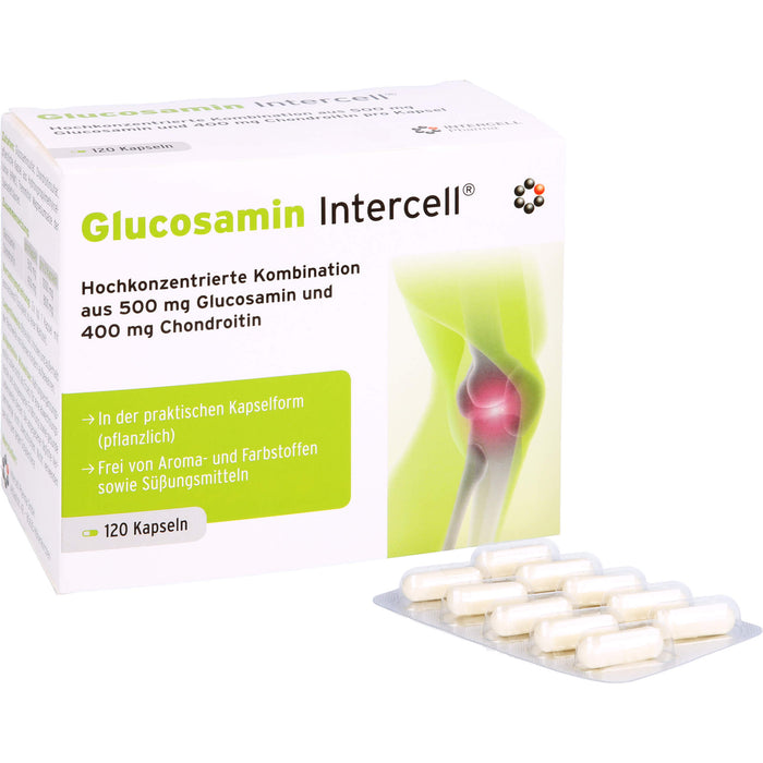 Glucosamin Intercell, 120 St KAP