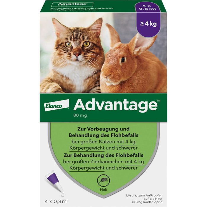 Advantage 80 mg für Katzen und Zierkaninchen über 4 kg Lösung, 3.2 ml Solution