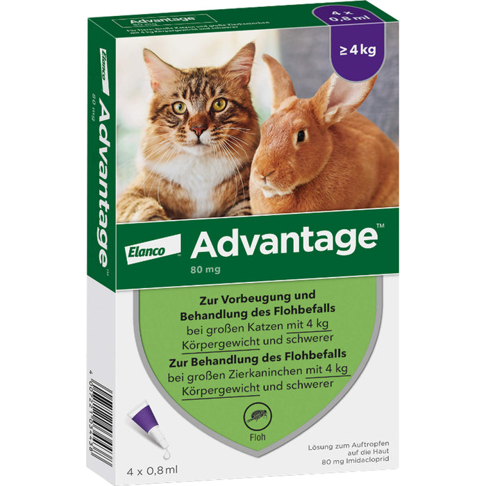 Advantage 80 mg für Katzen und Zierkaninchen über 4 kg Lösung, 3.2 ml Solution