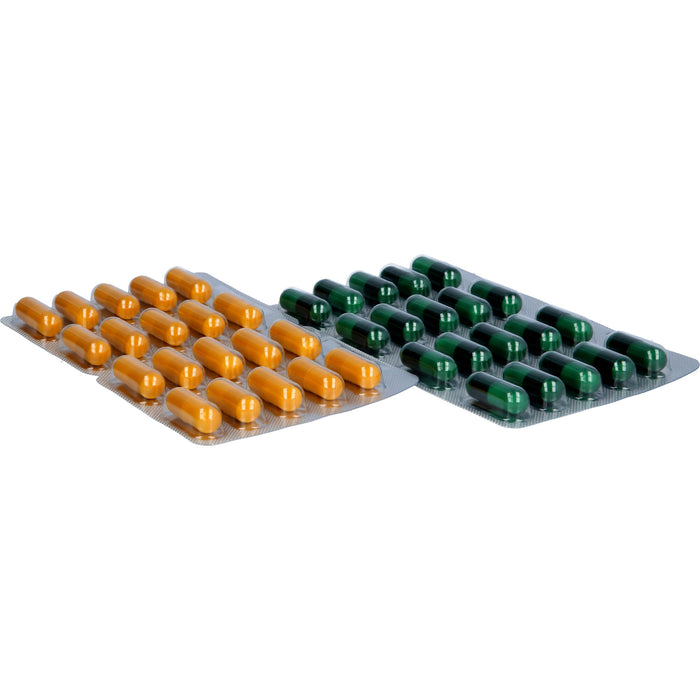 flexiLoges Knorpel aktiv, 240 pcs. Capsules
