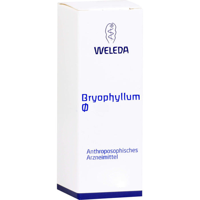 WELEDA Bryophyllum Urtinktur, 50 ml Lösung