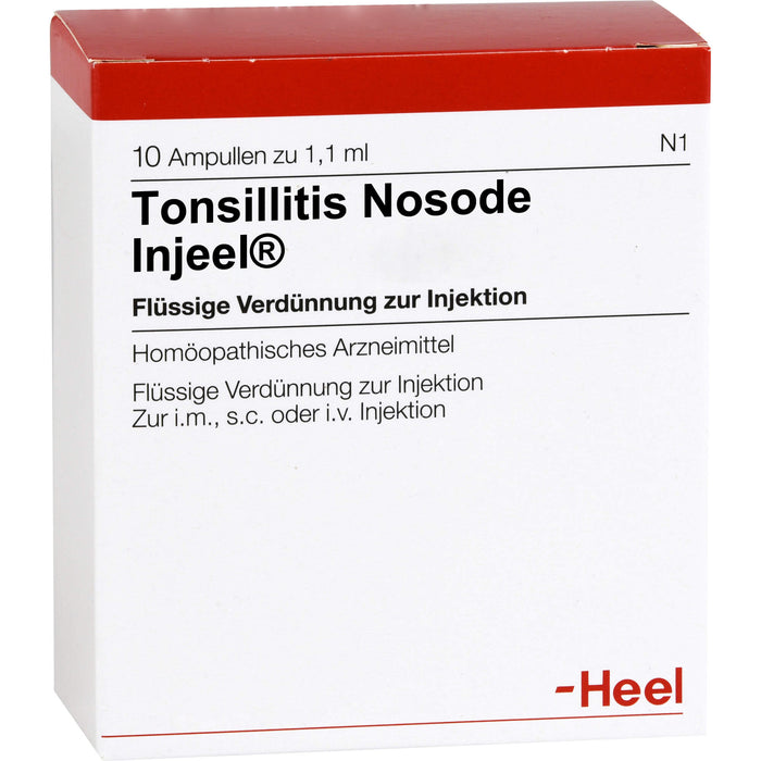 Heel Tonsillitis Nosode Injeel flüssige Verdünnung, 10 pcs. Ampoules