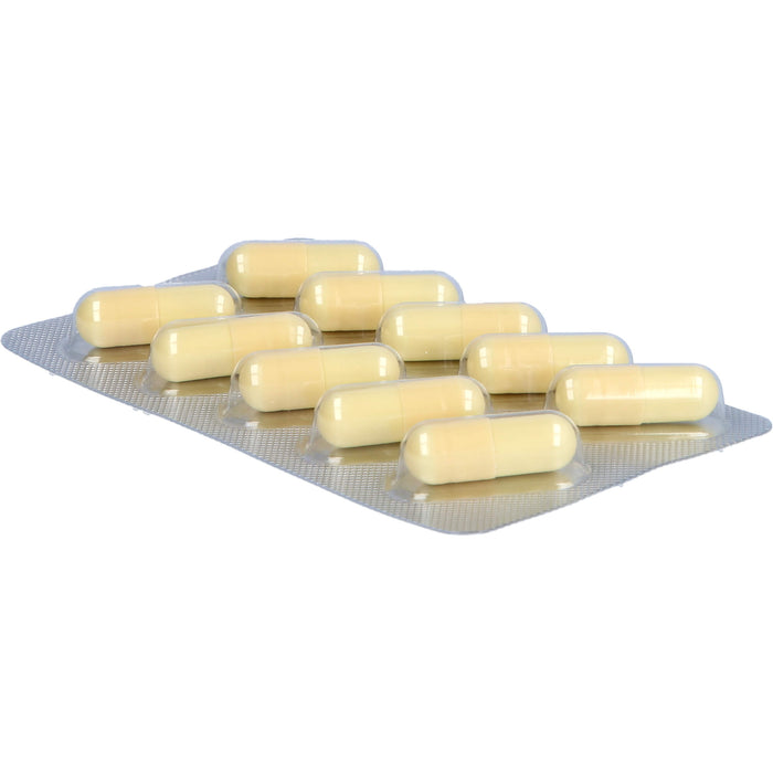 Dr. Grandel Gelenk plus Hyaluron Kapseln, 60 St. Kapseln