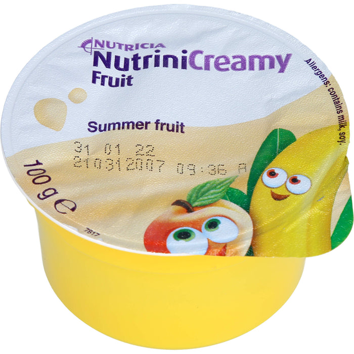Nutrini Creamy Fruit Sommerfrüchte Trinknahrung für Kinder ab dem 1.Lebensjahr, 400 g Crème
