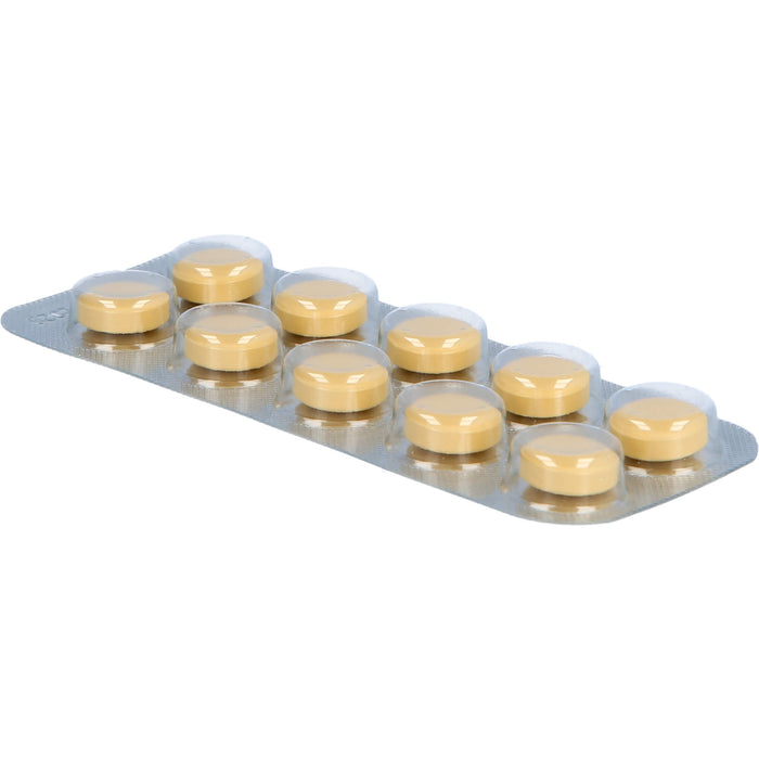 Gingobeta 40 mg Filmtabletten, 120 St FTA