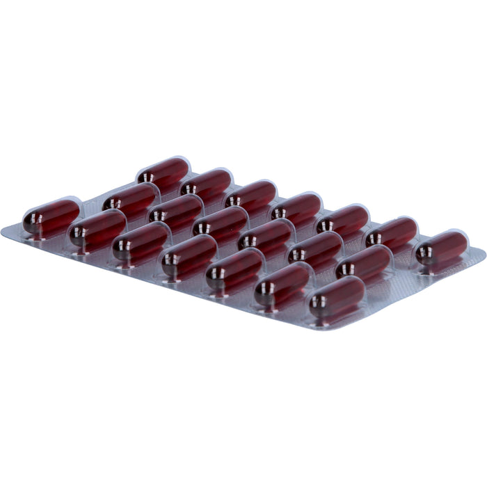 curcumin-Loges Kapseln, 120 St., 120 pc Capsules