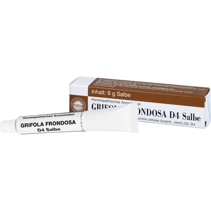SANUM-KEHLBECK Grifola frondosa D4 Salbe, 9 g Ointment