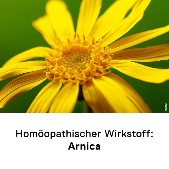 DHU Arnica 1 + 1 Set, 1 St. Kombipackung