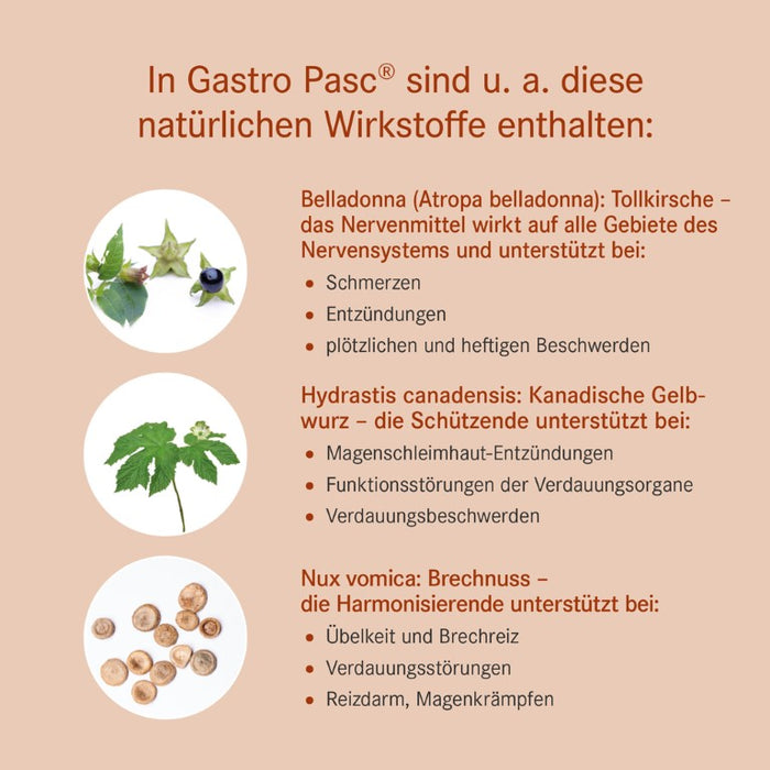 Gastro Pasc, Mischung, 100 ml TRO