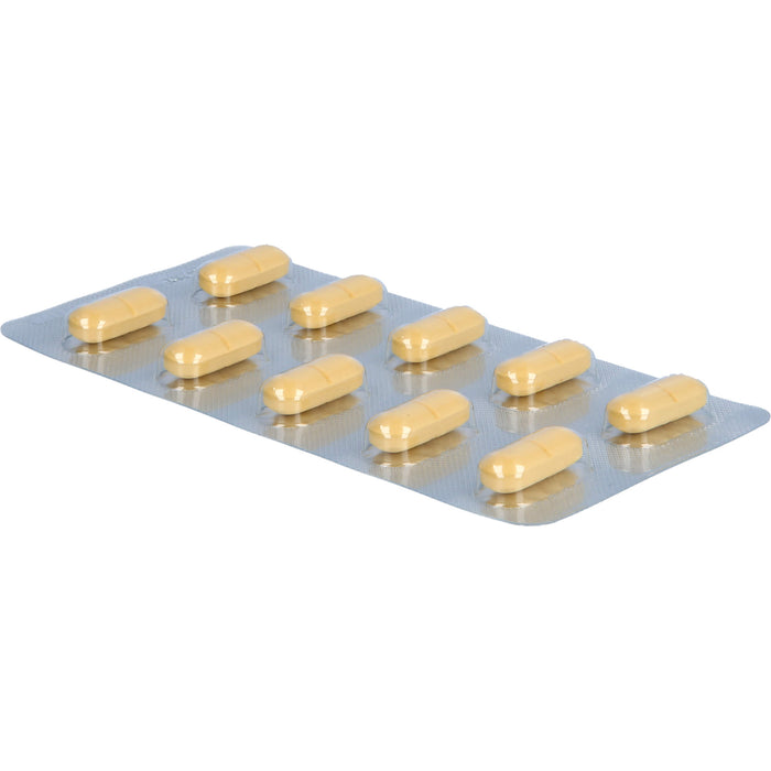 Ginkgo AL 240 mg Filmtabletten bei altersbedingten Gedächtniseinbußen mit leichter Demenz, 120 pcs. Tablets