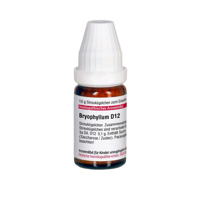 DHU Bryophyllum D12 Streukügelchen, 10 g Globules