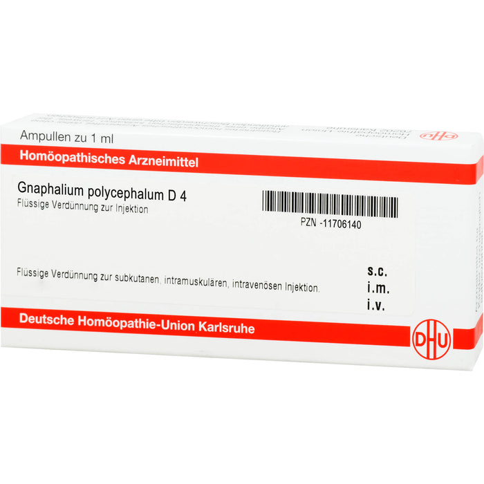 DHU Gnaphalium polycephalum D4 Ampullen, 8 pc Ampoules