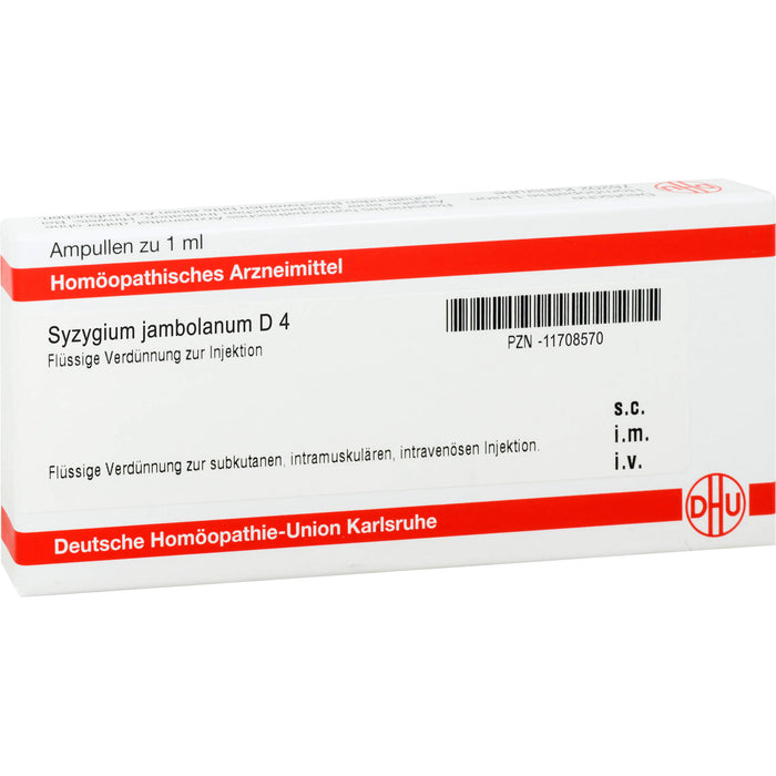 Syzygium jambolanum D4 DHU Ampullen, 8 pcs. Ampoules