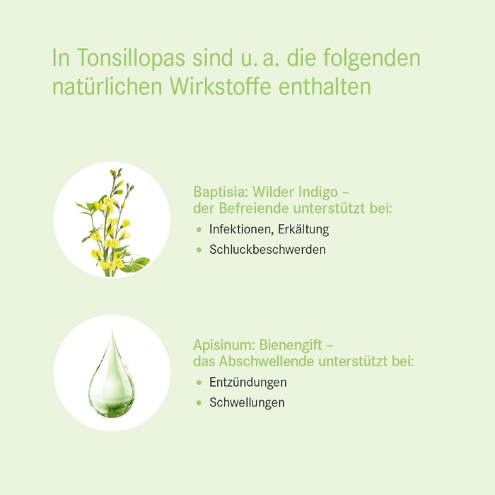Tonsillopas Mischung bei Entzündungen des Rachenraums, 50 ml Solution