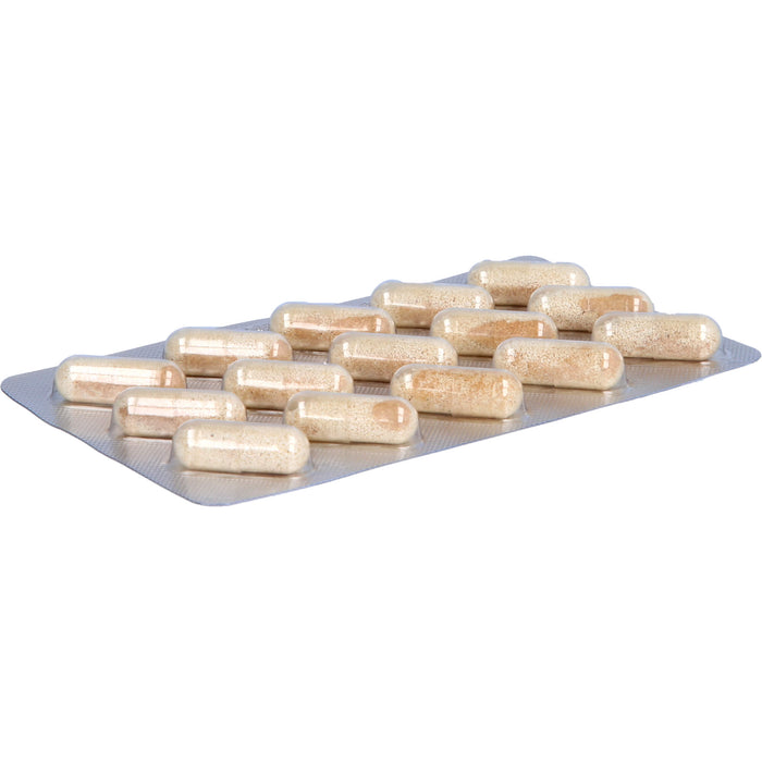 Lysivir Kapseln zur diätetischen Behandlung von Lippenherpes, 60 pcs. Capsules