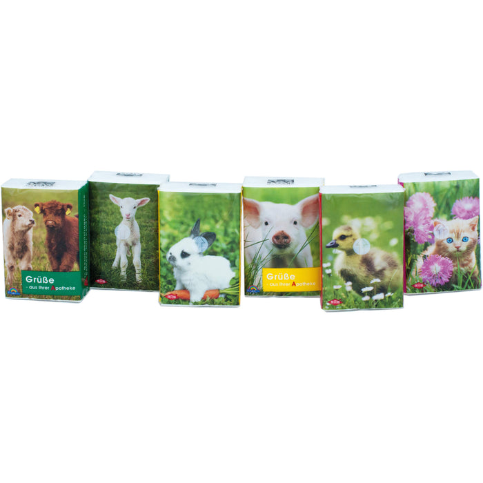 Taschentücher Pocket Tierkinder, 1 St 